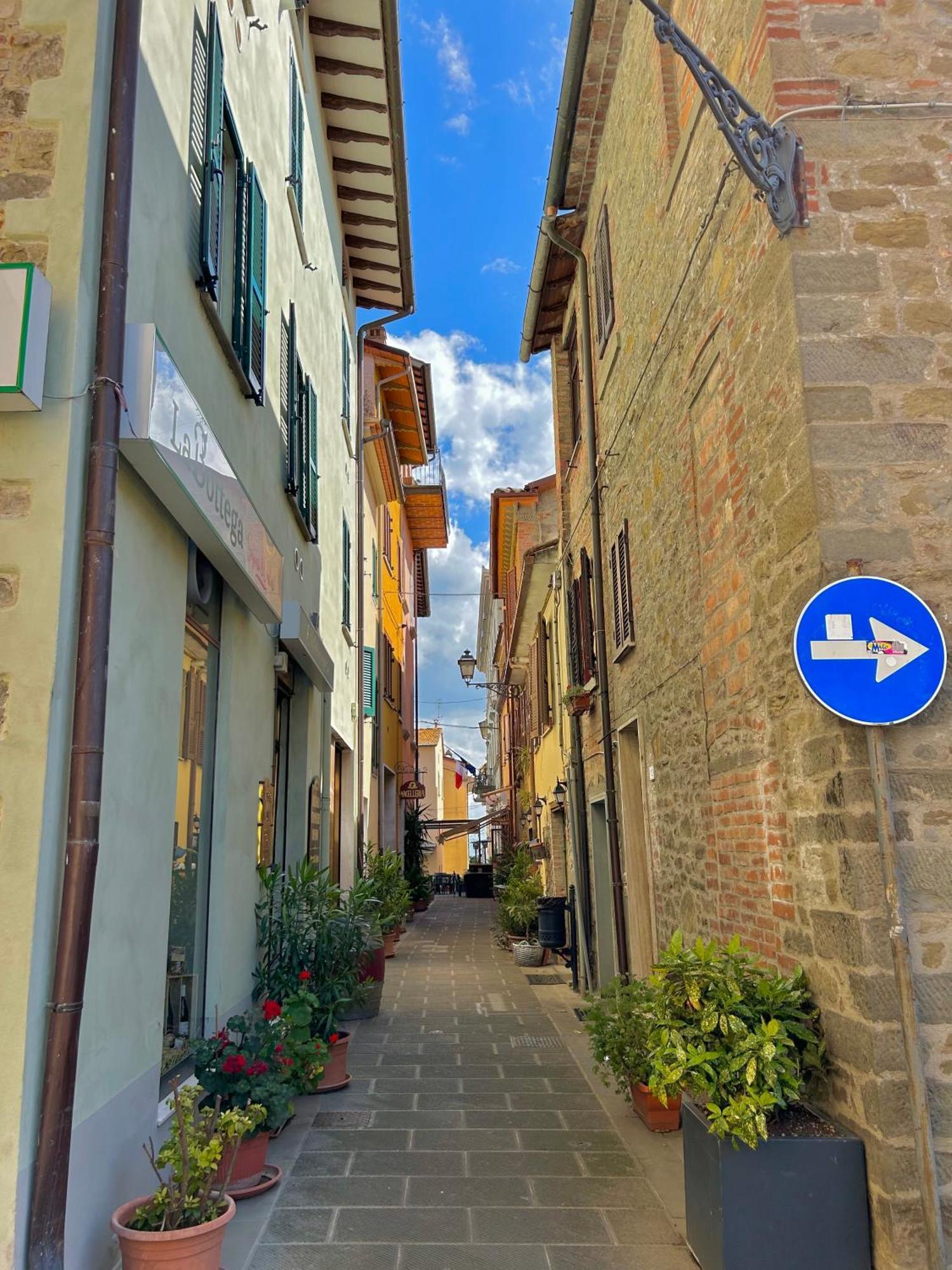 Antico Olivo Apartment Tuoro sul Trasimeno Exterior photo